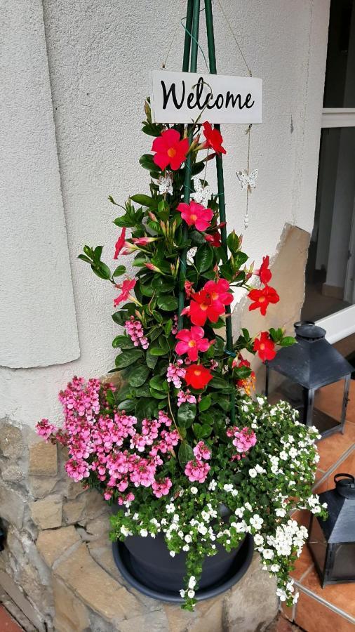 Munkacsy Apartmanok Balatonfenyves Exteriör bild